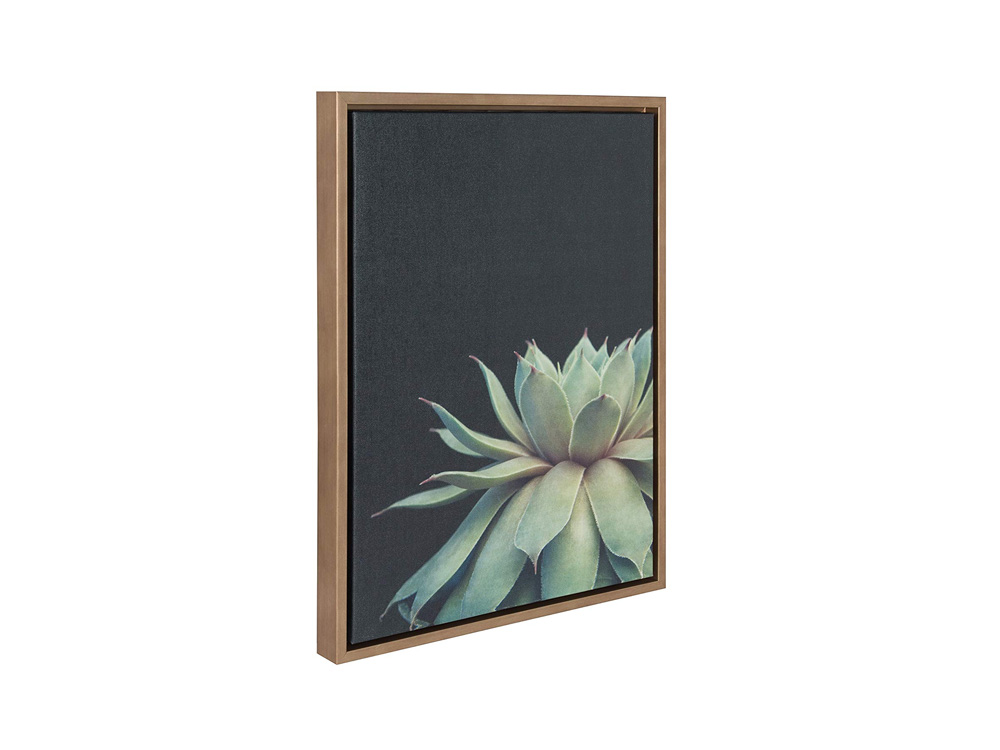 Anae Succulent Wall Art 2