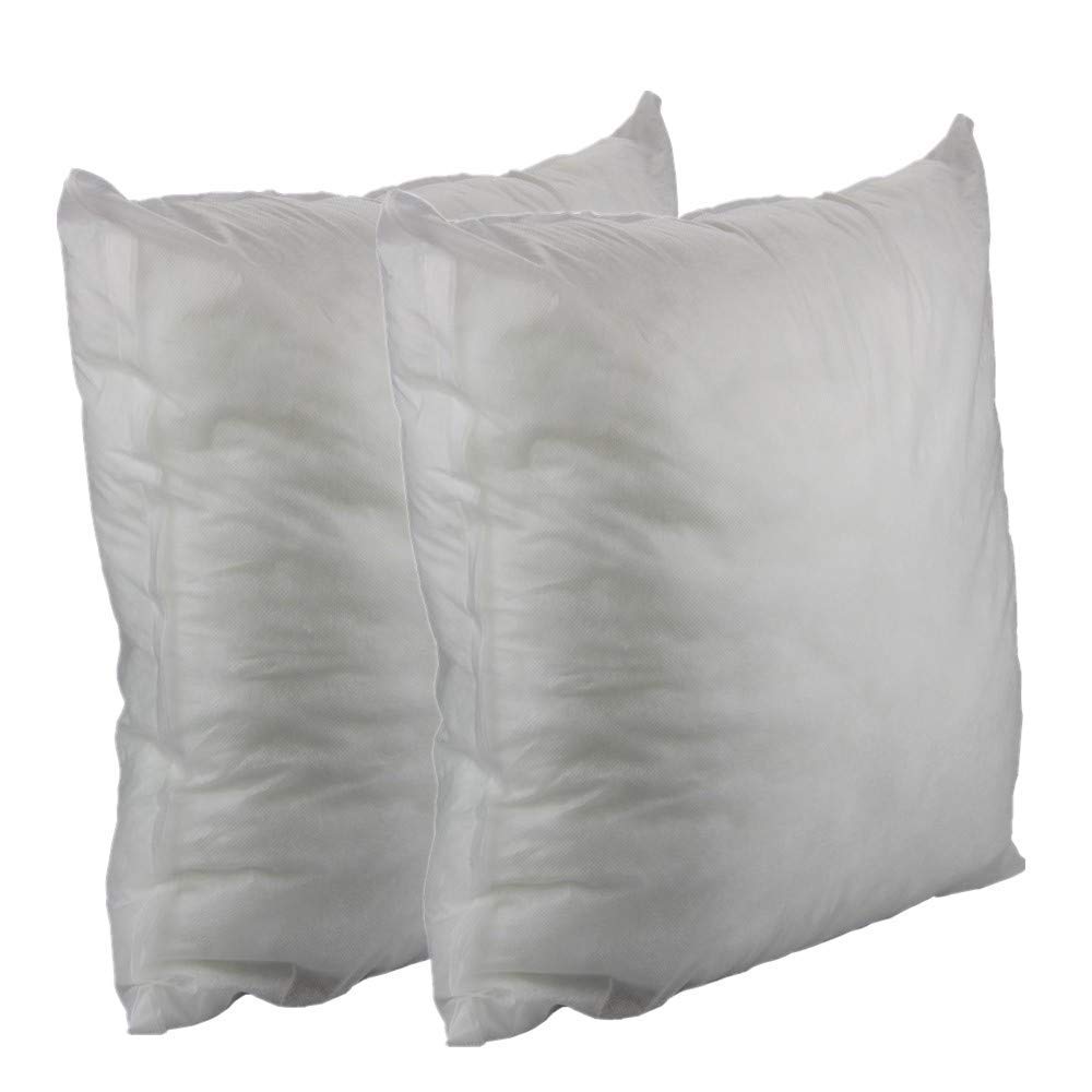 Pillow Inserts 1