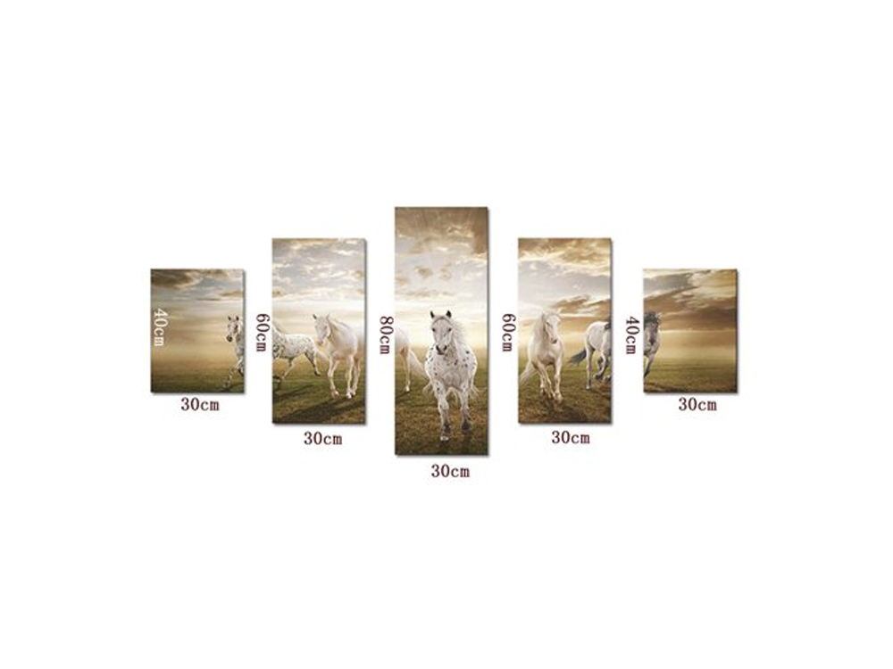 5 piece stallion art 4