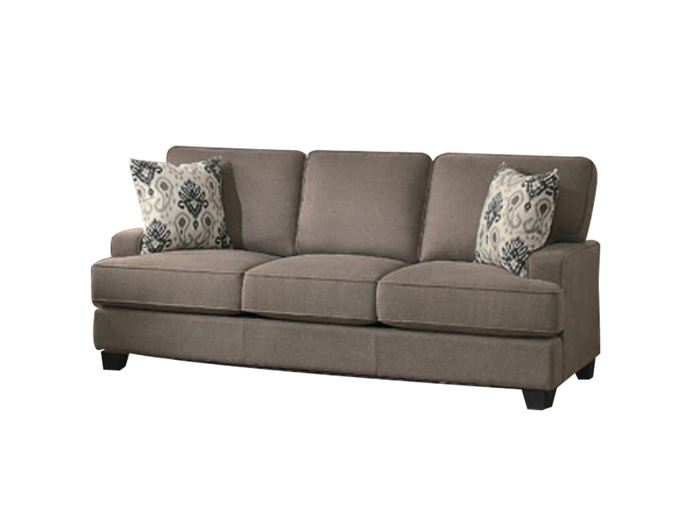 Modern Caf Sleeper Sofa 1