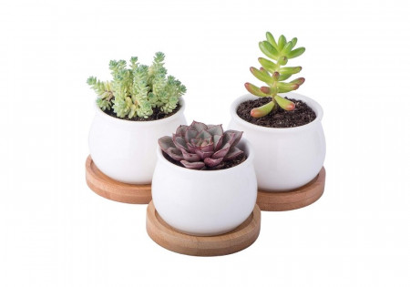 Triple Pot Planter (Plant not included)