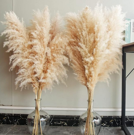 Screenshot 2024-07-08 154638.png