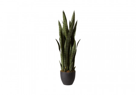 Mali Plant
