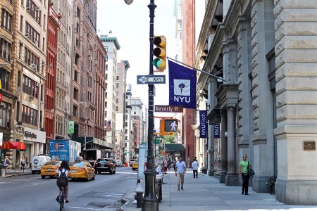 New York University